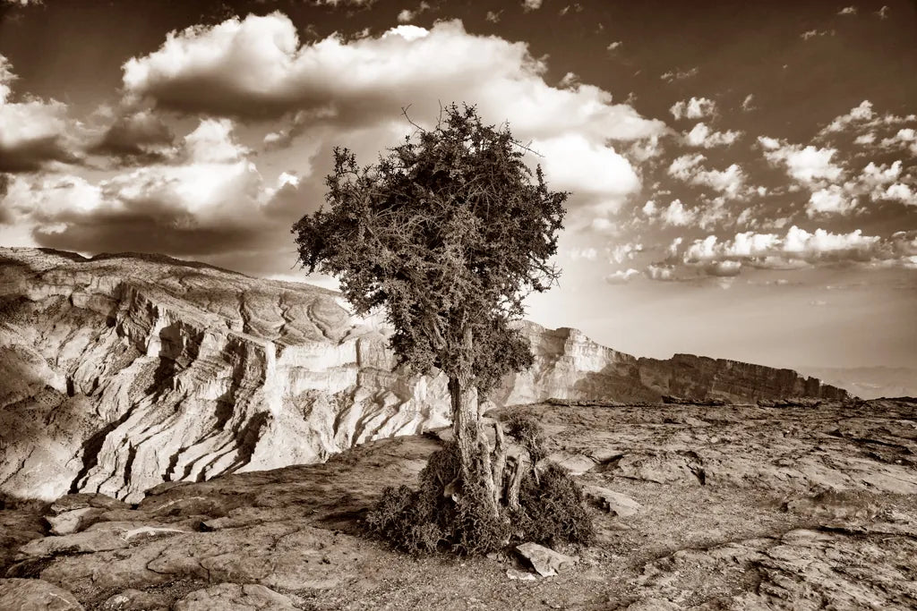 Simple Solitude by Aledanda. SKU 98022i. Archival Giclee Fine art print for wall decor.