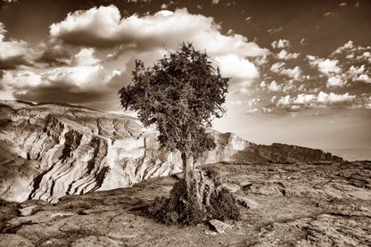 Simple Solitude by Aledanda. SKU 98022i. Archival Giclee Fine art print for wall decor.