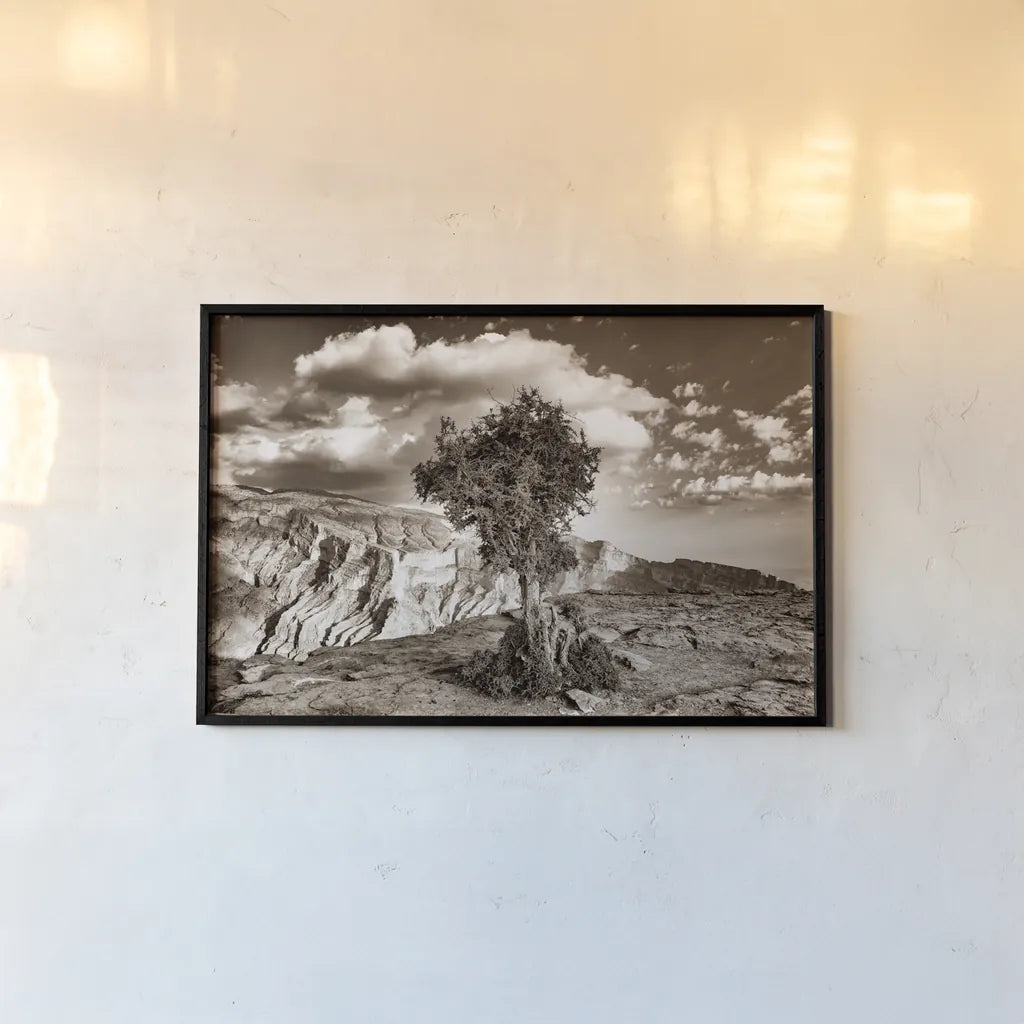 Simple Solitude by Aledanda. shown as a paper print in a black flame. Available as a archival giclee rolled canvas, fine art paper, or poster print. SKU 98022i.