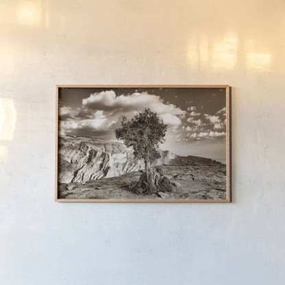 Simple Solitude by Aledanda. shown as a paper print in a natural frame. Available as a archival giclee rolled canvas, fine art paper, or poster print. SKU 98022i.