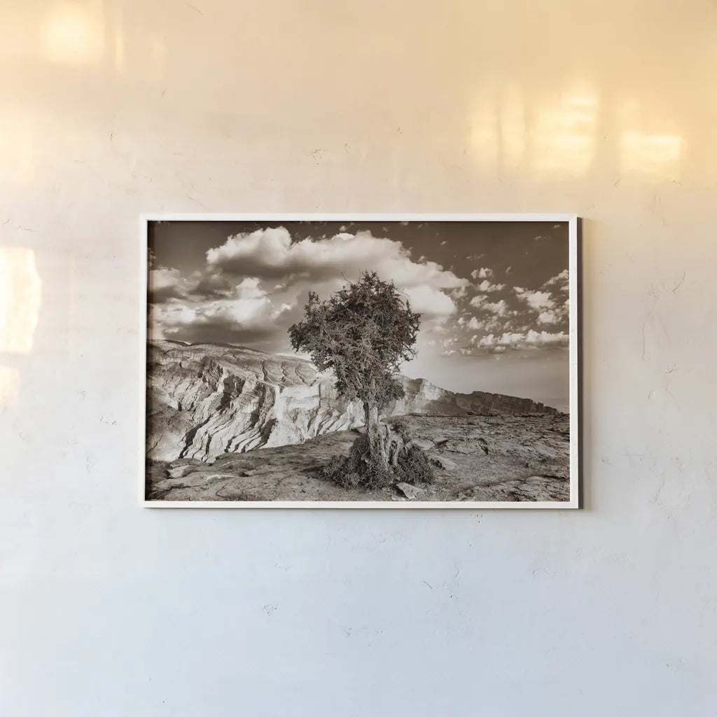 Simple Solitude by Aledanda. shown as a paper print in a white frame. Available as a archival giclee rolled canvas, fine art paper, or poster print. SKU 98022i.