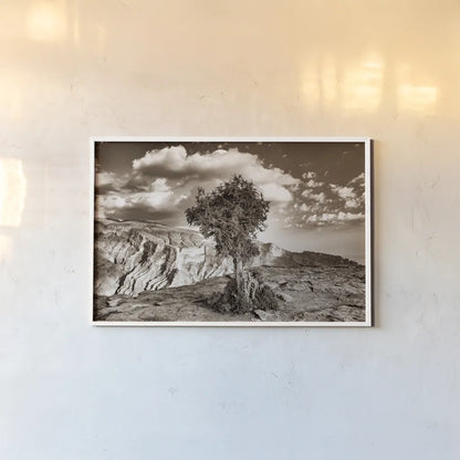 Simple Solitude by Aledanda. shown as a paper print in a white frame. Available as a archival giclee rolled canvas, fine art paper, or poster print. SKU 98022i.