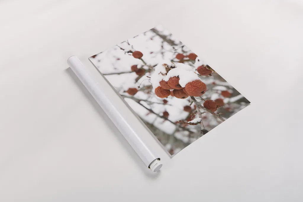 Snowcapped by Aledanda. shown as a rolled paper print. Available as archival giclee rolled canvas, fine art paper, or poster print. SKU 60996h.