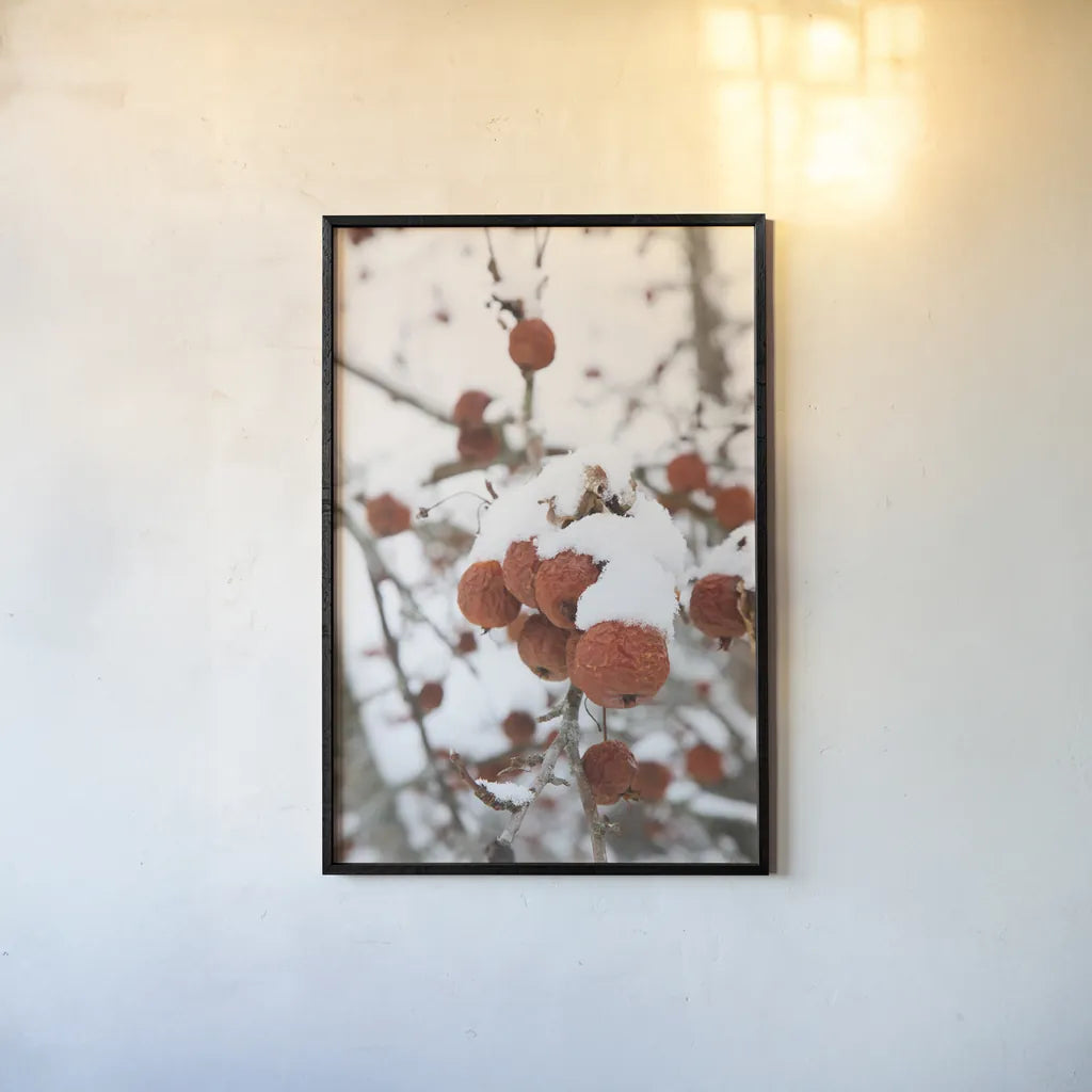 Snowcapped by Aledanda. shown as a paper print in a black flame. Available as a archival giclee rolled canvas, fine art paper, or poster print. SKU 60996h.