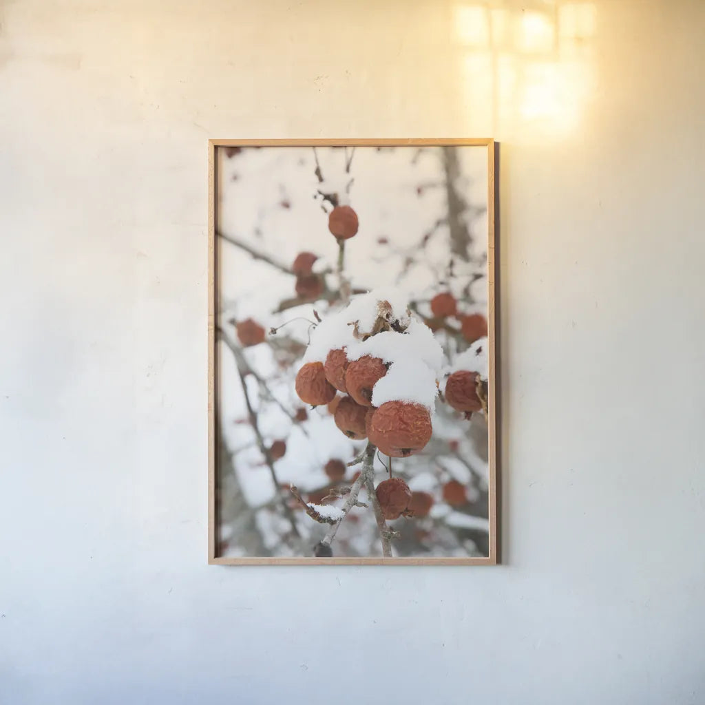 Snowcapped by Aledanda. shown as a paper print in a natural frame. Available as a archival giclee rolled canvas, fine art paper, or poster print. SKU 60996h.