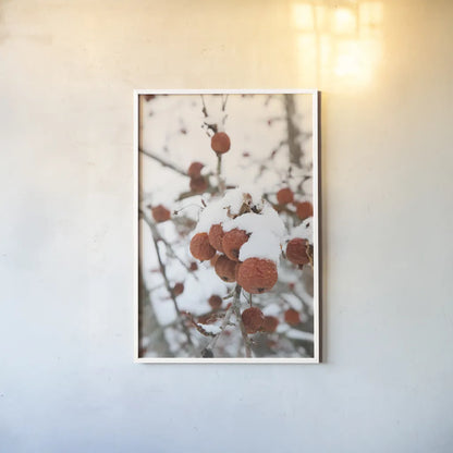 Snowcapped by Aledanda. shown as a paper print in a white frame. Available as a archival giclee rolled canvas, fine art paper, or poster print. SKU 60996h.