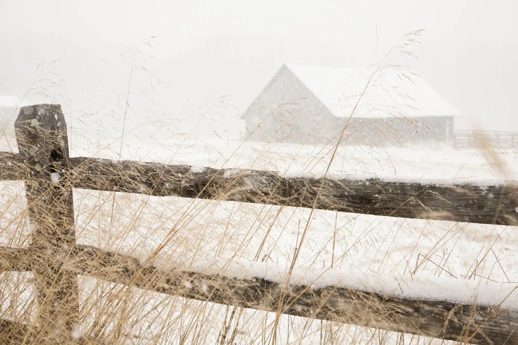 Snowy Day by Aledanda. SKU 60534i. Archival Giclee Fine art print for wall decor.