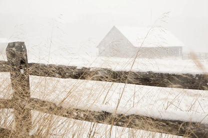 Snowy Day by Aledanda. SKU 60534i. Archival Giclee Fine art print for wall decor.