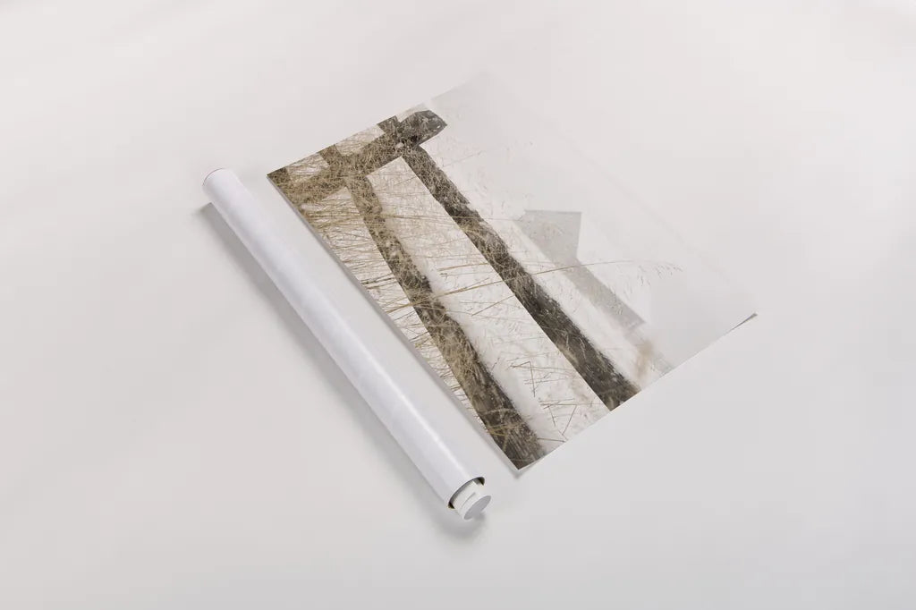 Snowy Day by Aledanda. shown as a rolled paper print. Available as archival giclee rolled canvas, fine art paper, or poster print. SKU 60534i.