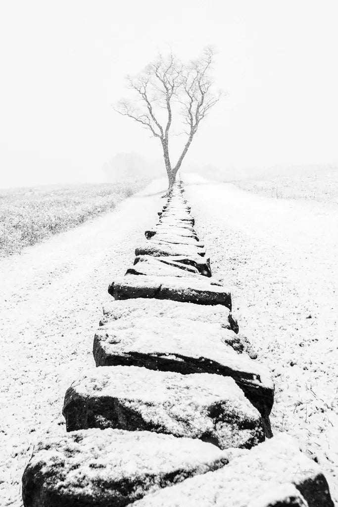 Snowy Stone Wall by Aledanda. SKU 64380h. Archival Giclee Fine art print for wall decor.