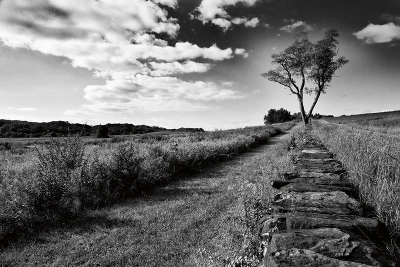 Stone Wall by Aledanda. SKU 53590i. Archival Giclee Fine art print for wall decor.