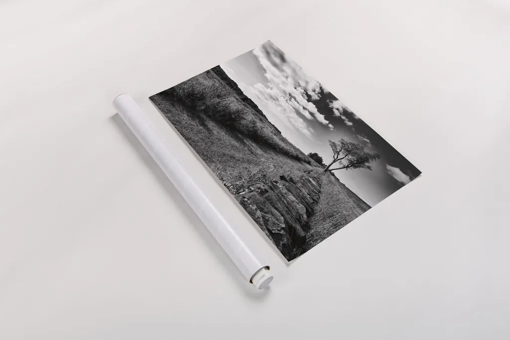 Stone Wall by Aledanda. shown as a rolled paper print. Available as archival giclee rolled canvas, fine art paper, or poster print. SKU 53590i.