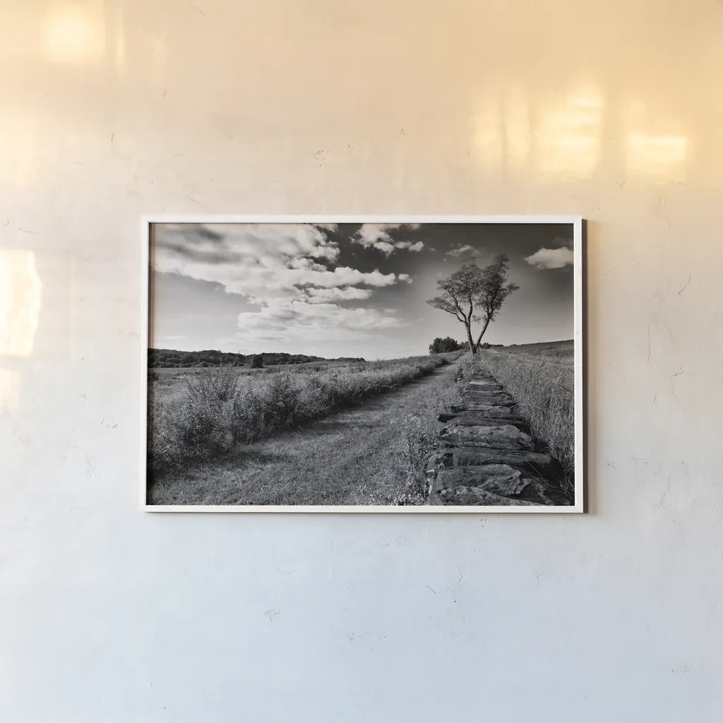 Stone Wall by Aledanda. shown as a paper print in a white frame. Available as a archival giclee rolled canvas, fine art paper, or poster print. SKU 53590i.
