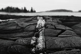 Stony Shore by Aledanda. SKU 75863i. Archival Giclee Fine art print for wall decor.