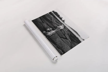 Stony Shore by Aledanda. shown as a rolled paper print. Available as archival giclee rolled canvas, fine art paper, or poster print. SKU 75863i.