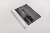 Summer Moon by Aledanda. shown as a rolled paper print. Available as archival giclee rolled canvas, fine art paper, or poster print. SKU 64381i.