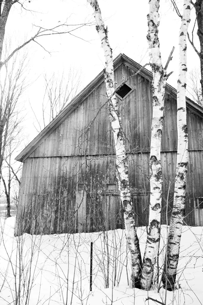 The Diamond Window by Aledanda. SKU 60529h. Archival Giclee Fine art print for wall decor.