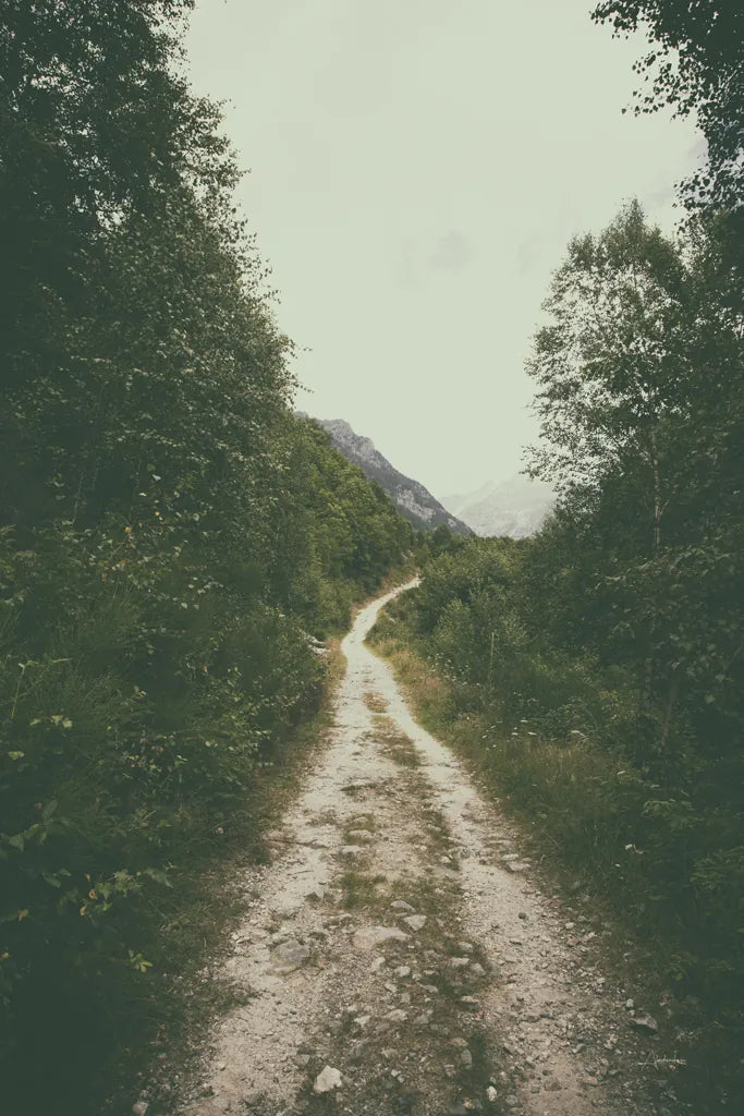 The Path We Followed by Aledanda. SKU 63233h. Archival Giclee Fine art print for wall decor.