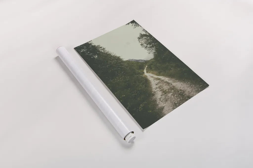 The Path We Followed by Aledanda. shown as a rolled paper print. Available as archival giclee rolled canvas, fine art paper, or poster print. SKU 63233h.