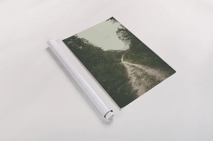 The Path We Followed by Aledanda. shown as a rolled paper print. Available as archival giclee rolled canvas, fine art paper, or poster print. SKU 63233h.