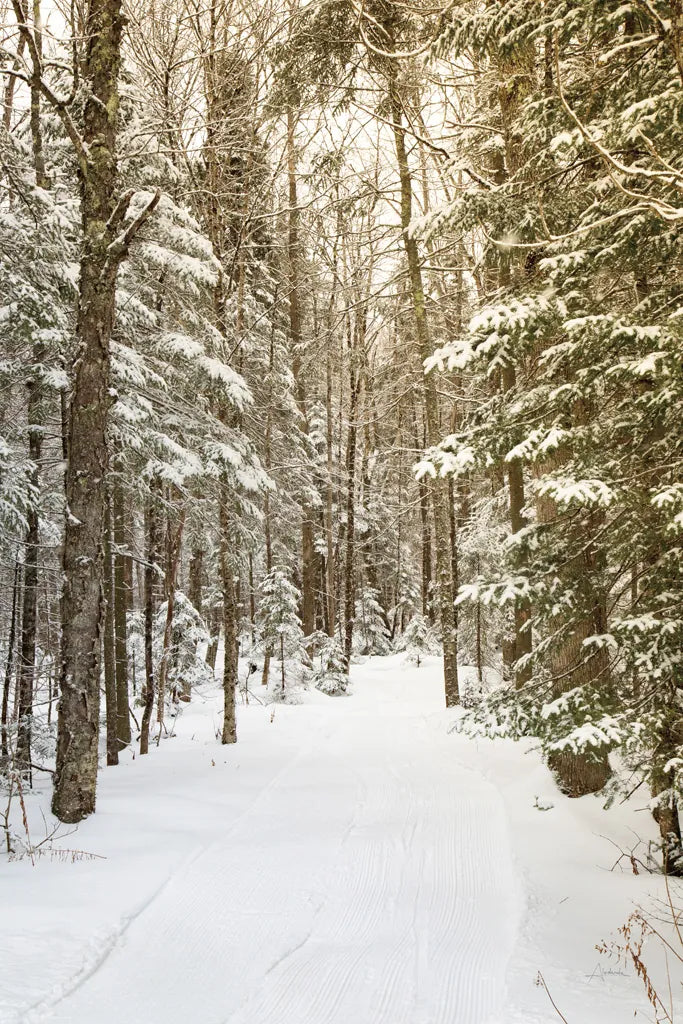 Through the Woods by Aledanda. SKU 60992h. Archival Giclee Fine art print for wall decor.