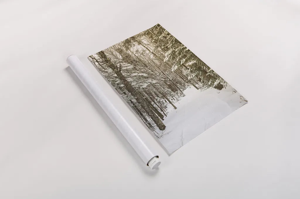 Through the Woods by Aledanda. shown as a rolled paper print. Available as archival giclee rolled canvas, fine art paper, or poster print. SKU 60992h.