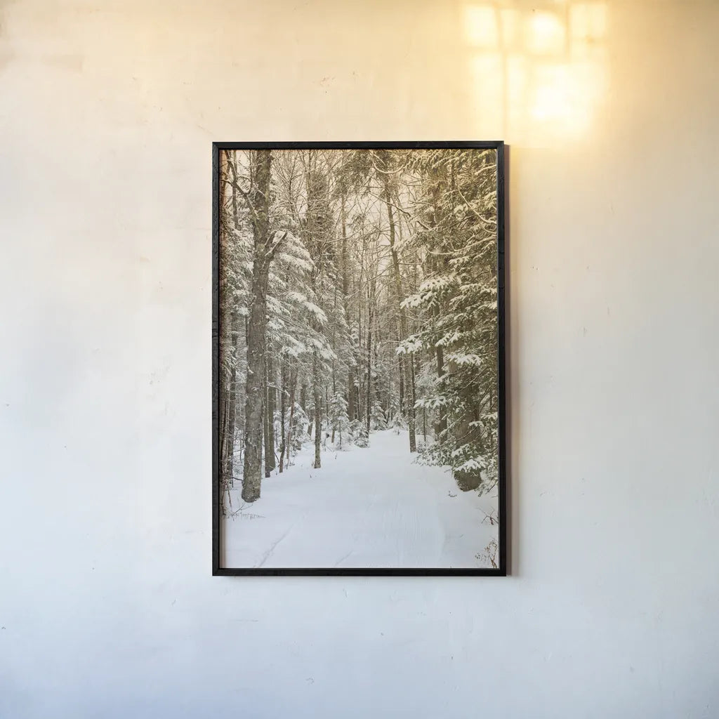 Through the Woods by Aledanda. shown as a paper print in a black flame. Available as a archival giclee rolled canvas, fine art paper, or poster print. SKU 60992h.