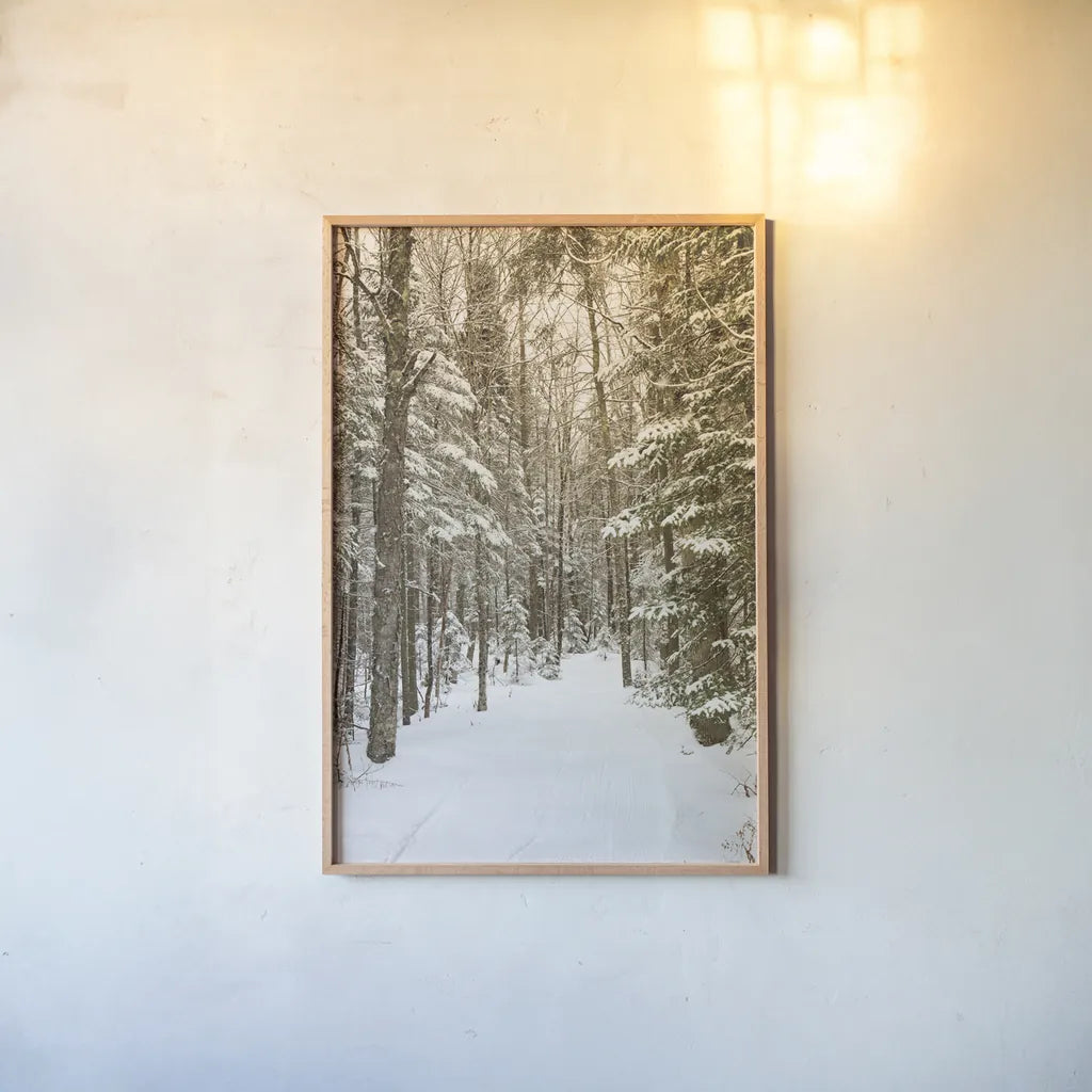 Through the Woods by Aledanda. shown as a paper print in a natural frame. Available as a archival giclee rolled canvas, fine art paper, or poster print. SKU 60992h.