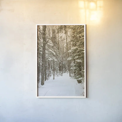 Through the Woods by Aledanda. shown as a paper print in a white frame. Available as a archival giclee rolled canvas, fine art paper, or poster print. SKU 60992h.