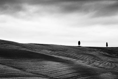 To the Horizon by Aledanda. SKU 71240i. Archival Giclee Fine art print for wall decor.