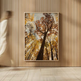 Towering Trees I by Aledanda. shown as over sized large wall art. Available as an archival giclee rolled canvas, fine art paper, or poster print. SKU 53649h.