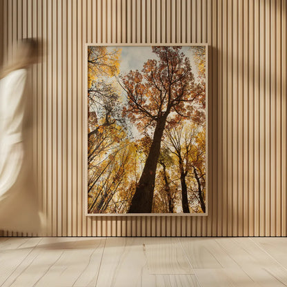 Towering Trees I by Aledanda. shown as over sized large wall art. Available as an archival giclee rolled canvas, fine art paper, or poster print. SKU 53649h.