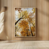 Towering Trees II by Aledanda. shown as over sized large wall art. Available as an archival giclee rolled canvas, fine art paper, or poster print. SKU 53650h.