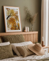 Towering Trees II by Aledanda. shown as a paper print in a natural frame. Available as a archival giclee rolled canvas, fine art paper, or poster print. SKU 53650h.