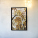 Towering Trees II by Aledanda. shown as a paper print in a black flame. Available as a archival giclee rolled canvas, fine art paper, or poster print. SKU 53650h.