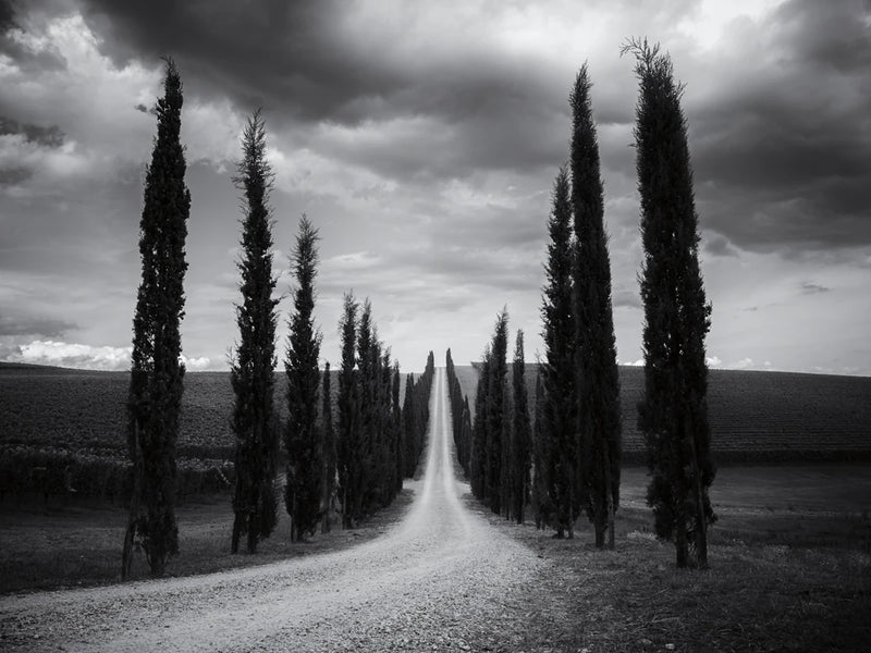 Traveling in Tuscany Crop by Aledanda