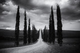 Travelling in Tuscany by Aledanda. SKU 58397i. Archival Giclee Fine art print for wall decor.