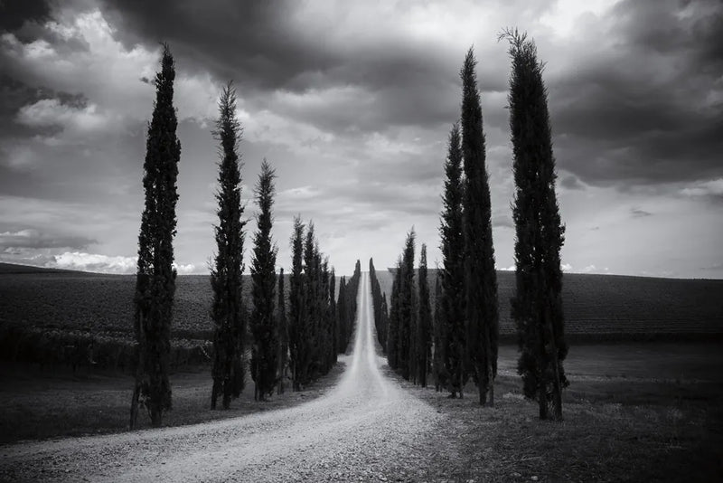 Travelling in Tuscany by Aledanda. SKU 58397i. Archival Giclee Fine art print for wall decor.