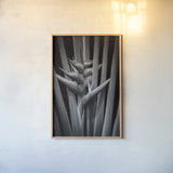 Tropical I by Aledanda. shown as a paper print in a natural frame. Available as a archival giclee rolled canvas, fine art paper, or poster print. SKU 55240h.