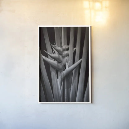 Tropical I by Aledanda. shown as a paper print in a white frame. Available as a archival giclee rolled canvas, fine art paper, or poster print. SKU 55240h.