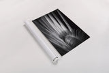 Tropical II by Aledanda. shown as a rolled paper print. Available as archival giclee rolled canvas, fine art paper, or poster print. SKU 55241h.
