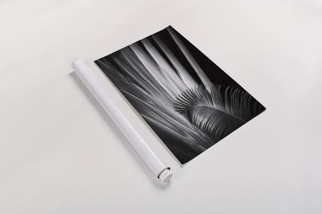 Tropical II by Aledanda. shown as a rolled paper print. Available as archival giclee rolled canvas, fine art paper, or poster print. SKU 55241h.