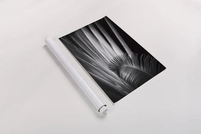 Tropical II by Aledanda. shown as a rolled paper print. Available as archival giclee rolled canvas, fine art paper, or poster print. SKU 55241h.