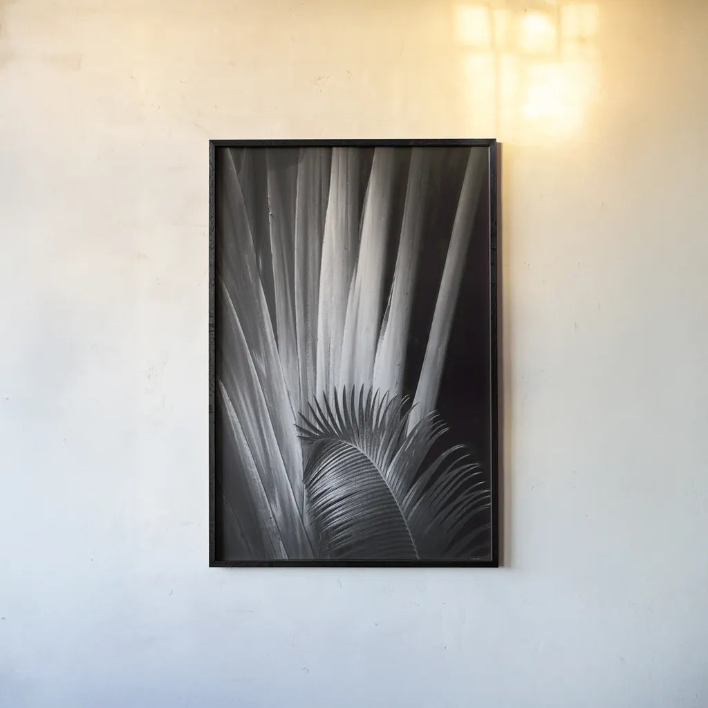 Tropical II by Aledanda. shown as a paper print in a black flame. Available as a archival giclee rolled canvas, fine art paper, or poster print. SKU 55241h.
