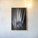 Tropical II by Aledanda. shown as a paper print in a natural frame. Available as a archival giclee rolled canvas, fine art paper, or poster print. SKU 55241h.
