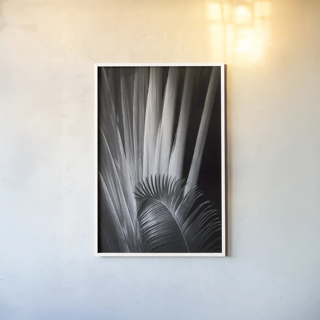 Tropical II by Aledanda. shown as a paper print in a white frame. Available as a archival giclee rolled canvas, fine art paper, or poster print. SKU 55241h.