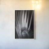 Tropical II by Aledanda. shown as a paper print in a white frame. Available as a archival giclee rolled canvas, fine art paper, or poster print. SKU 55241h.