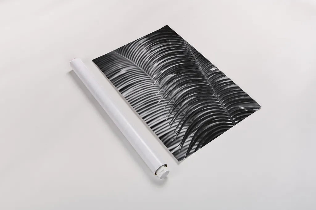 Tropical III by Aledanda. shown as a rolled paper print. Available as archival giclee rolled canvas, fine art paper, or poster print. SKU 55242h.