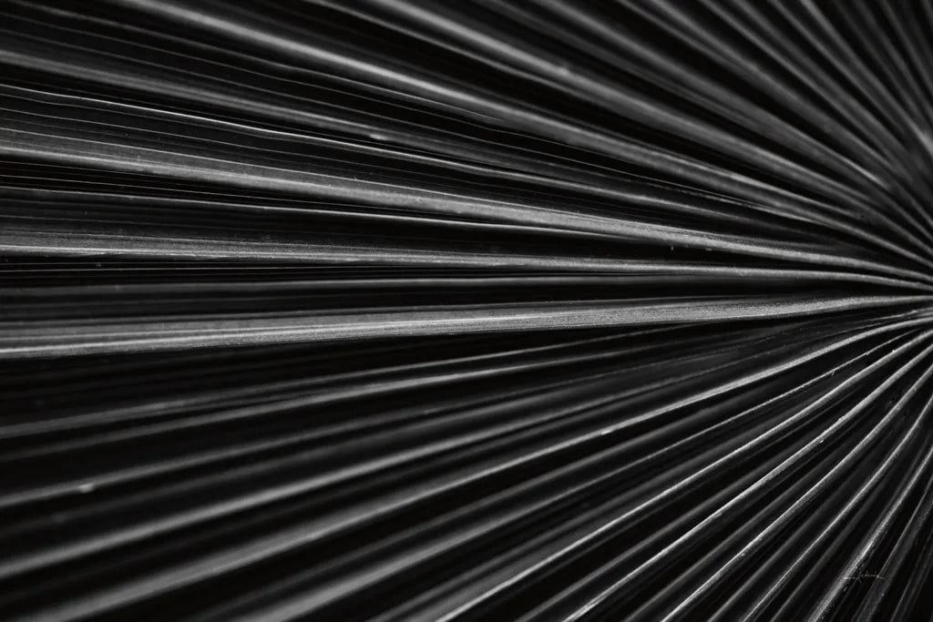 Tropical IV by Aledanda. SKU 55243i. Archival Giclee Fine art print for wall decor.