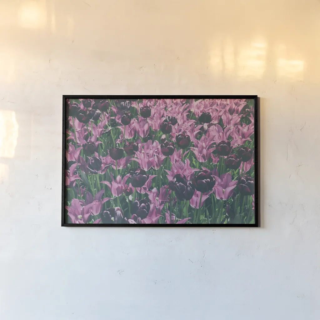 Tulip Botanical by Aledanda. shown as a paper print in a black flame. Available as a archival giclee rolled canvas, fine art paper, or poster print. SKU 63219i.